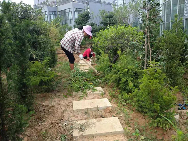 &#30343;&#20896;