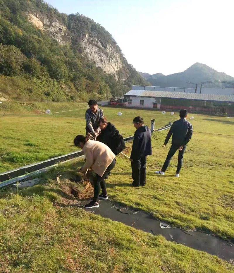&#30343;&#20896;