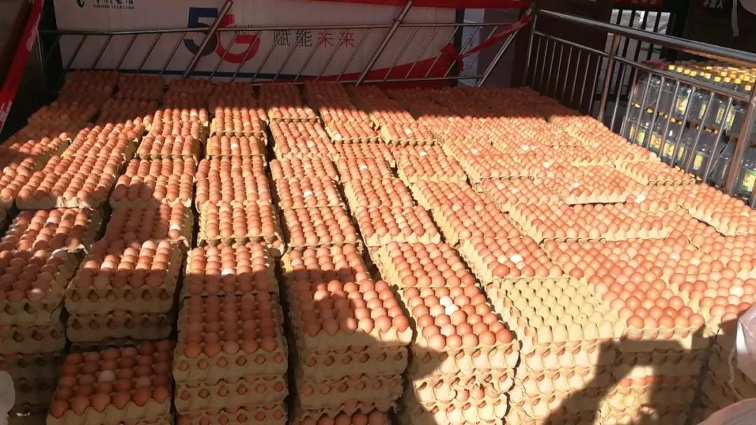 &#30343;&#20896;