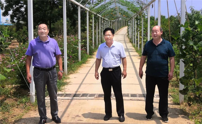 &#30343;&#20896;
