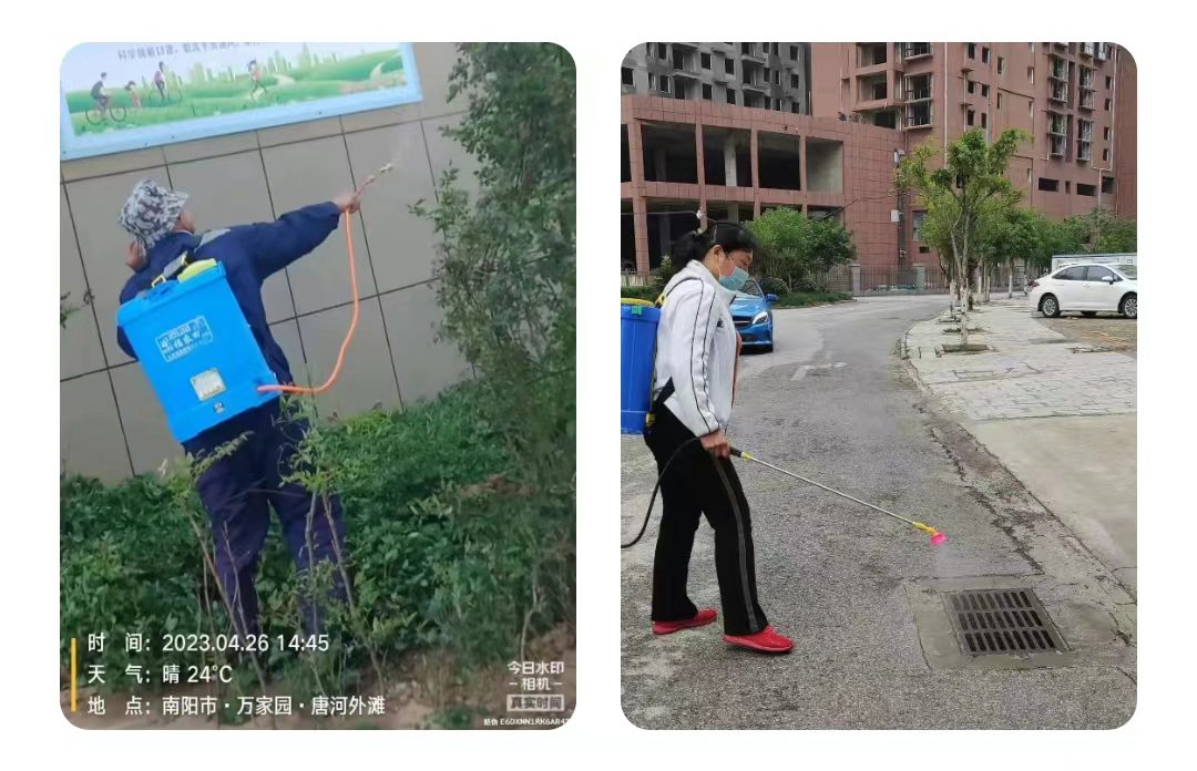 &#30343;&#20896;