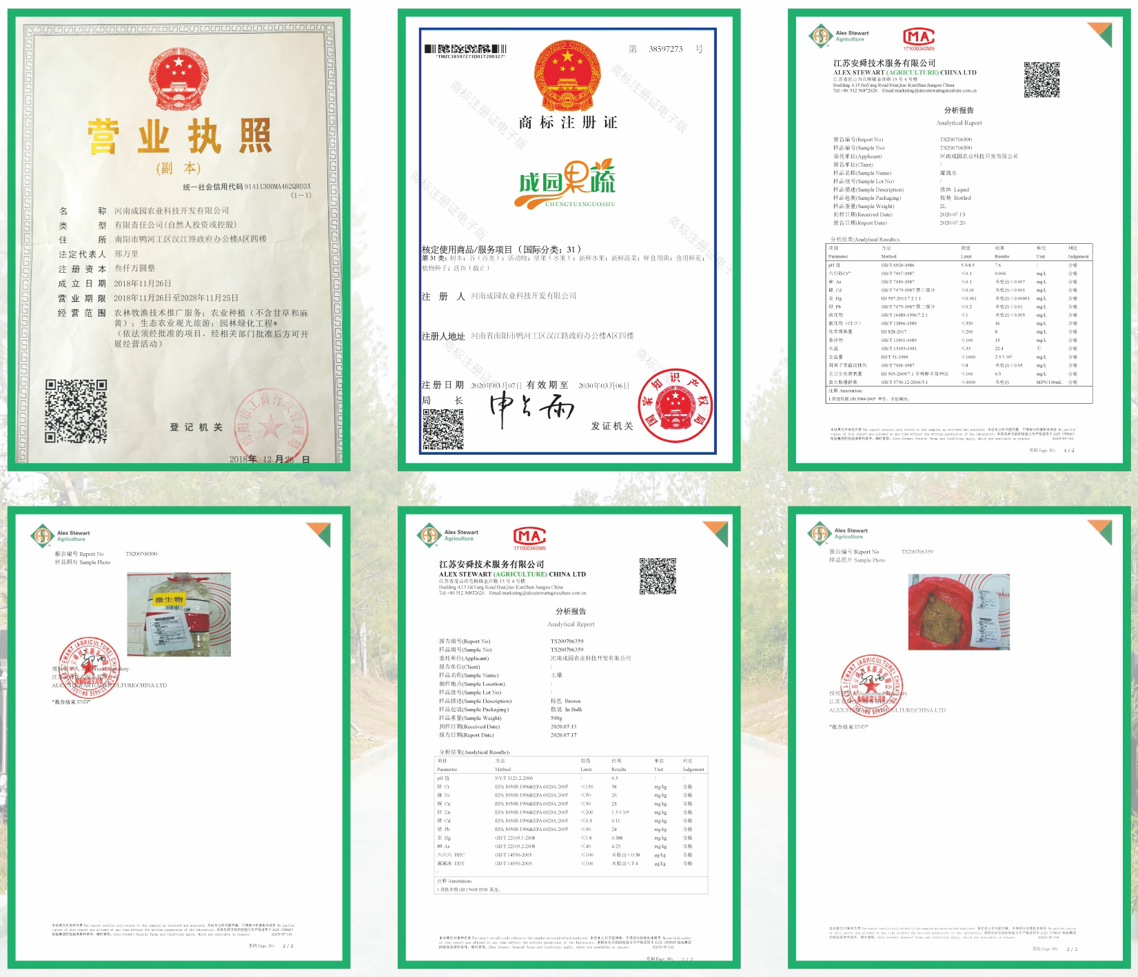 &#30343;&#20896;