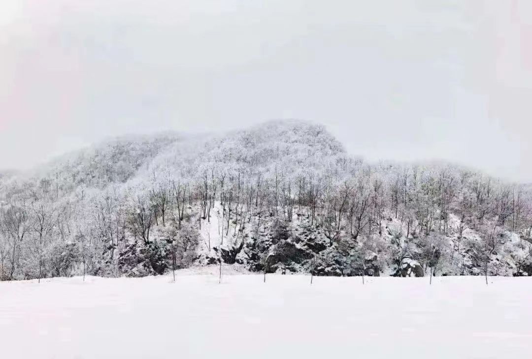 &#30343;&#20896;